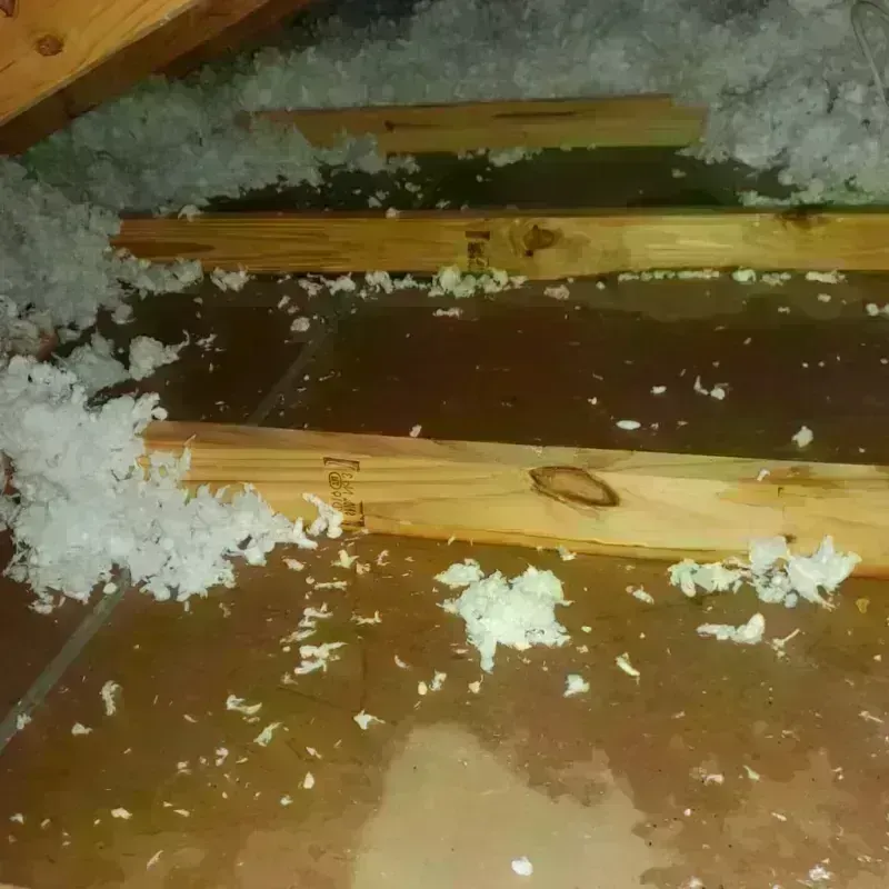 Attic Water Damage in Forest City, NC