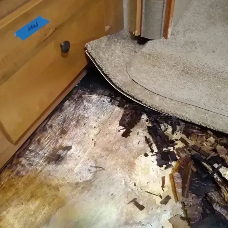 Wood Floor Water Damage in Forest City, NC